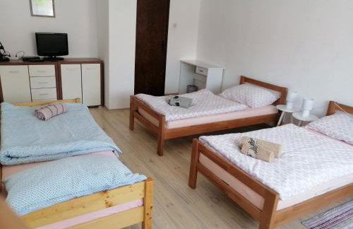 Apartman Kopriva - Photo 15