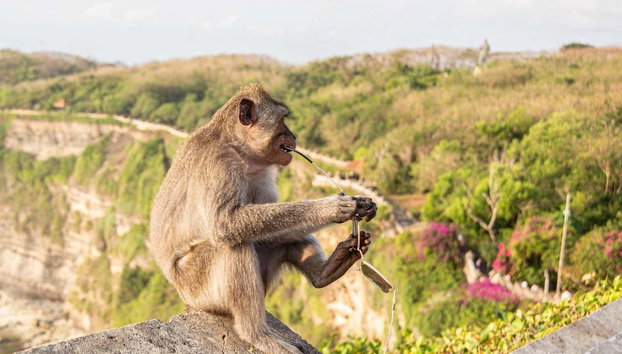 Tour privado por el sur de Bali, Templo Uluwatu y Jimbaran - Foto 2