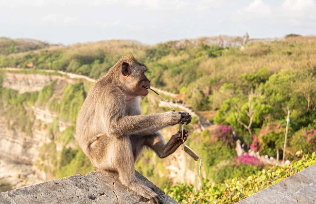 Tour privado por el sur de Bali, Templo Uluwatu y Jimbaran - Foto 2