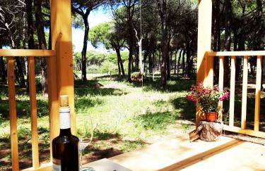 The PineForest Cabin - Foto 1