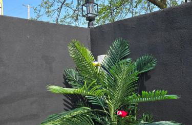 G.O.G Building - Foto 58