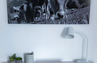 Ferienhaus Auszeit - Photo 28