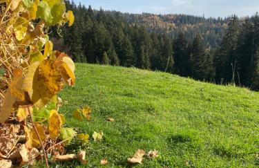 Apartament w górach Gorce - Foto 42