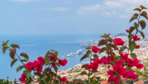 Casa Fatima - Foto 4