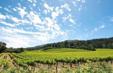 WineCountry Retreat with Casita Bocce & Sunset Views - Foto 32