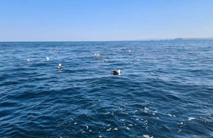 Detached Bungalow in North Cornwall - Foto 40