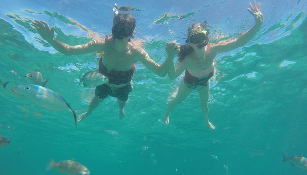 Catalina Island und Schnorcheln an The Wall - Katamaran-Tour - Foto 4