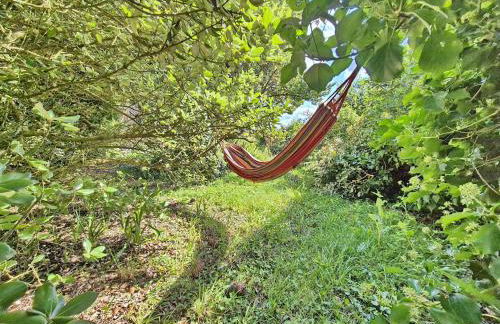 727-Superbe vue mer, grand confort, les pieds dan - Foto 32