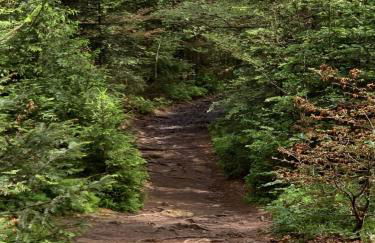 Bayerwaldnest - Foto 34