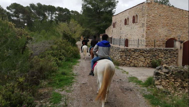 Horseback Riding in Randa, Mallorca - Foto 3