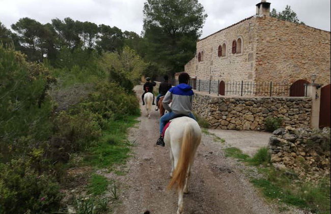 Horseback Riding in Randa, Mallorca - Foto 3