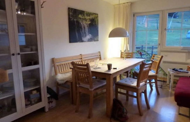 Apartment in the ski Area of St. Margarethen - Photo 9