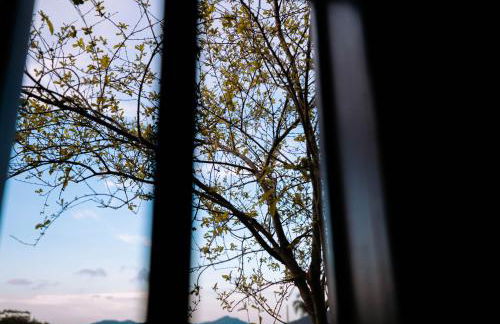 Casinha de Hobbit - Foto 20