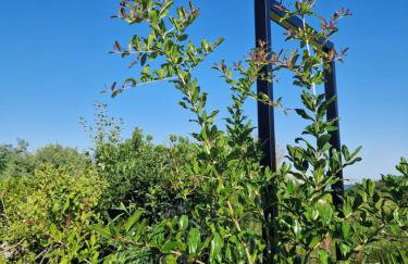 Villa Panama - Photo 3