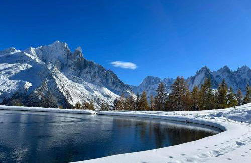 Happy Moose - Cosy Mont Blanc View apartment with sauna - Photo 48