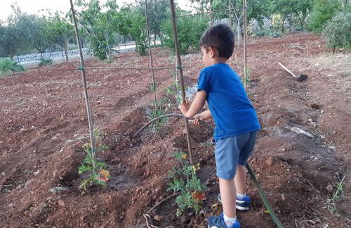 Il Rifugio di Farinella - Foto 17