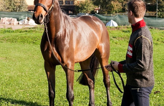 Agriturismo Tenuta Le Sorgive - Foto 28