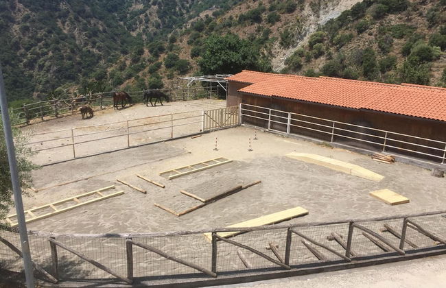 Agriturismo San Cataldo Farm Home - Photo 38