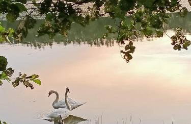 Domek Konrad - balia ogrodowa dodatkowo płatna - Foto 52