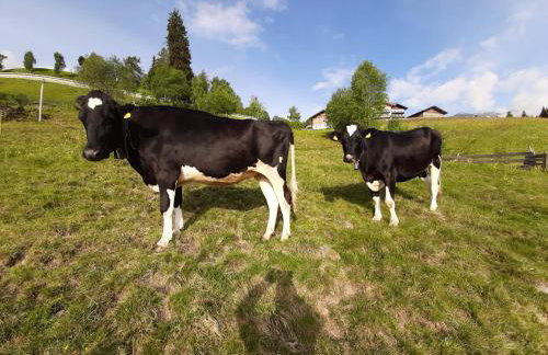 Joshof Bergblick - Photo 29