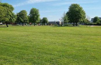 Seeadler-F5 - Foto 20