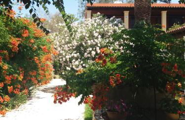 Alexandra Spingou Apartments - Foto 13