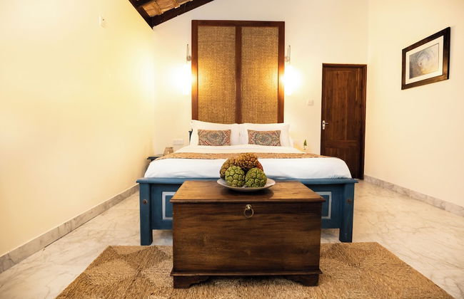 Club Mango - Photo 8