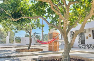 Andorinha Levante - Foto 8