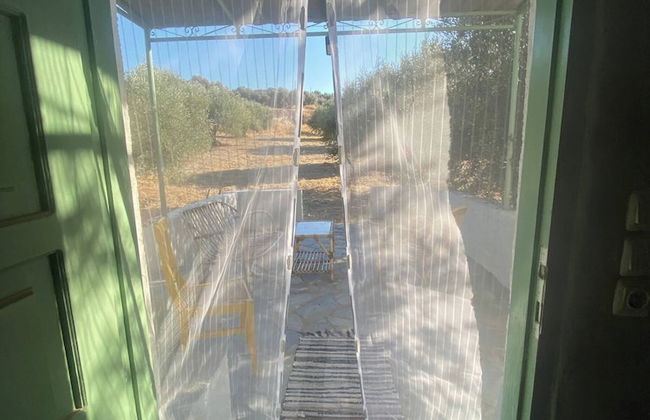 Villa Phyllia, a Property With History - Foto 12