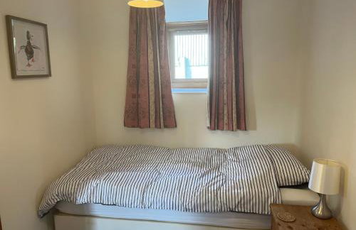 Tupenny Cottage, Old Mill Farm, Cotswold Water Park - Foto 3