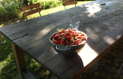 Domaine Fontaine - Foto 23