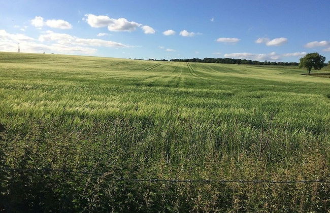 Woodfield House - Photo 33