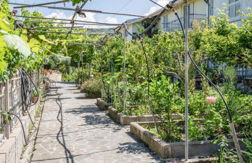 Le Case nel Vitigno - Modolo - Foto 49