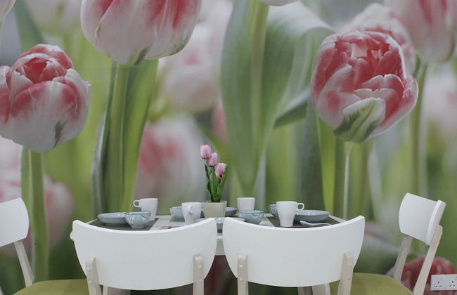 H2H Holland Cottage - Foto 6