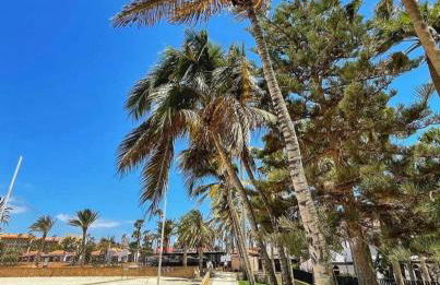 Villa VISTALEGRE relax con increíbles vistas - Foto 57