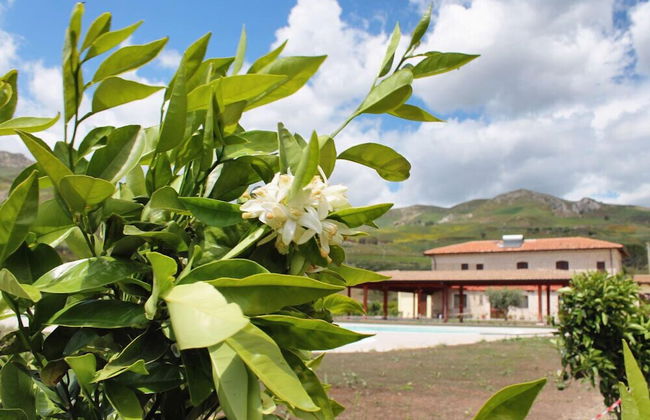 Tenuta Lanza Il Mulino - Photo 35