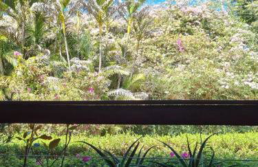 Casa 4 dorms 2 suites - localização perfeita no centrinho e rodeada de natureza - Foto 23