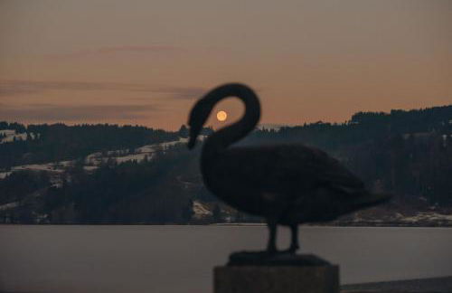 Ihr Rückzugsort im Allgäu Ferienwohnungen mit Herz & Aussicht - Photo 54