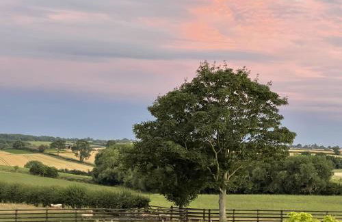 The Piggery - Photo 8