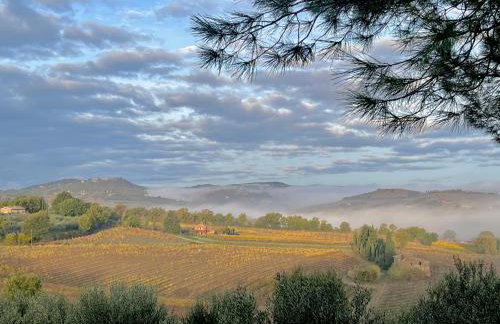 LA COLLINA DEI SAPORI Montepulciano - Photo 57