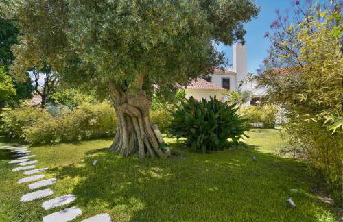 Jardim de Copas - Foto 27