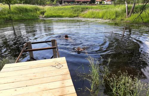 Jabłkowo-na skraju Puszczy Boreckiej ŚNIADANIA W CENIE - Foto 78