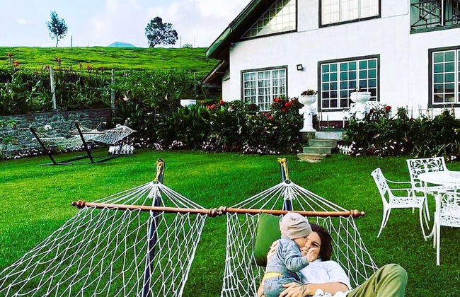 The Tea Garden - Foto 34