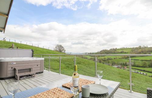 Barcud Coch - Red Kite - Photo 35