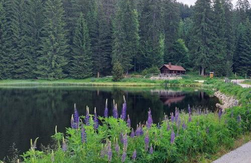 Holiday home Corinna - Foto 37