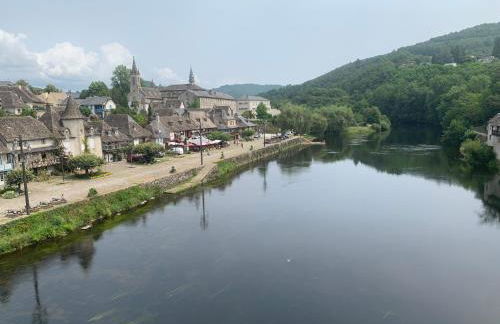 Superbe duplex les belles Rives Argentat bords Dordogne avec wifi - Foto 42