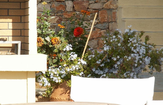 Alonissos 4-bedroom Large Villa With Private Pool - Foto 25