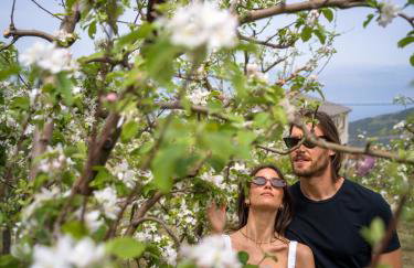 Traditional Luxury Villa ARMONIA - Foto 6