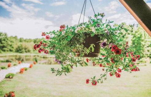 Nice Home In Wegorzewo With Sauna - Foto 21