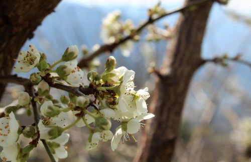 La casa In Valli 35 - Foto 28